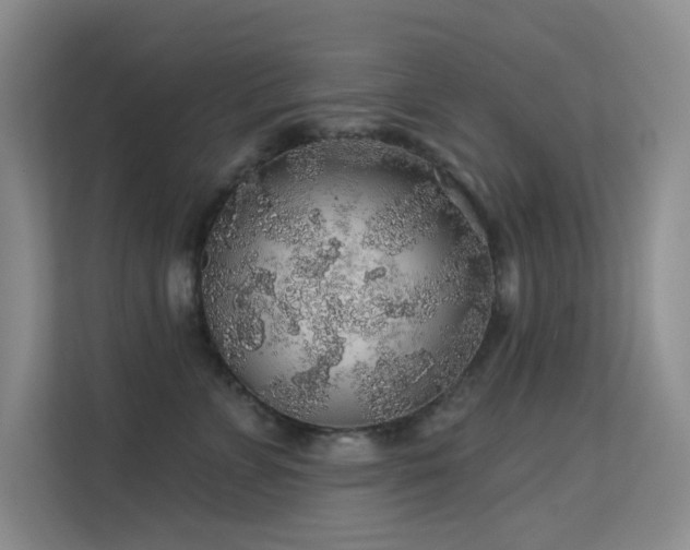 X0000113570715200909251134