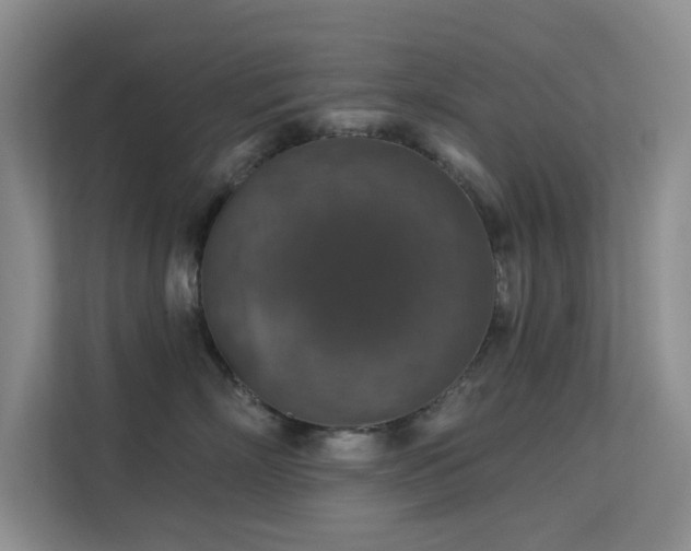 X0000113570718200909251134