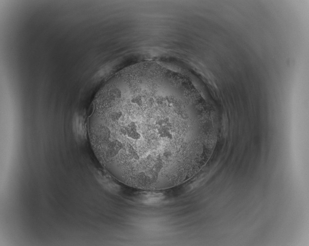 X0000113570719200909251134