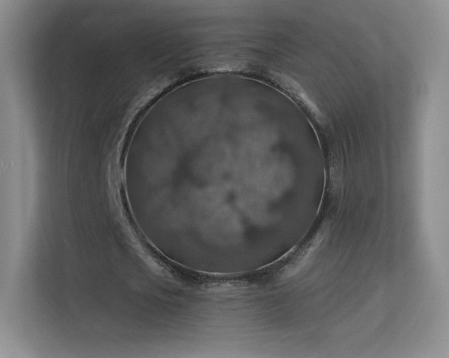 X0000113570721200909251134