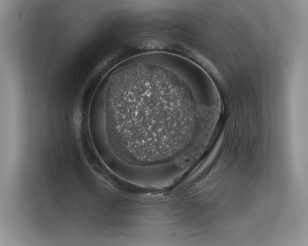 X0000113570722200909251134