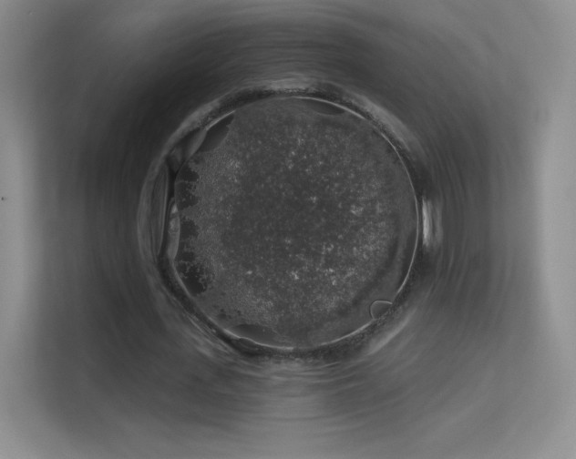 X0000113570723200909251134