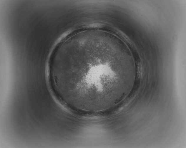 X0000113570726200909251134