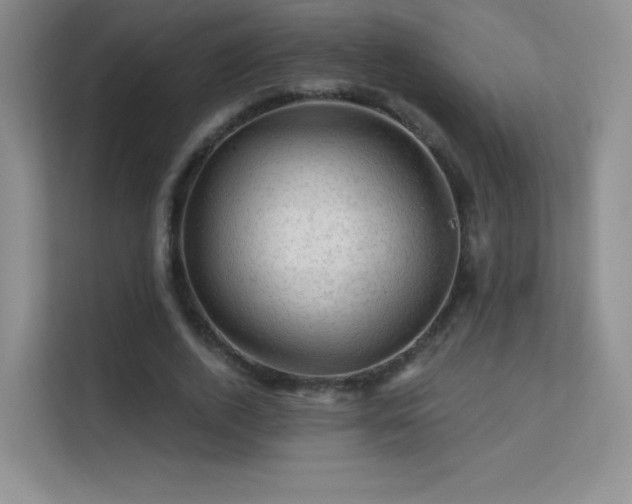 X0000113570728200909251134