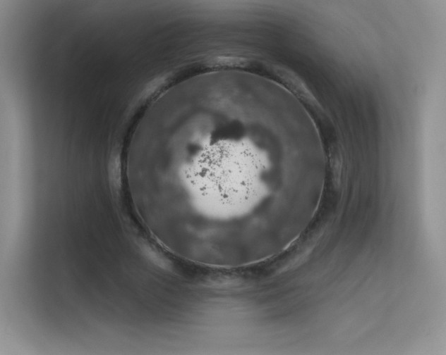 X0000113570729200909251134