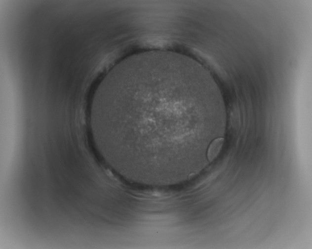 X0000113570739200909251134