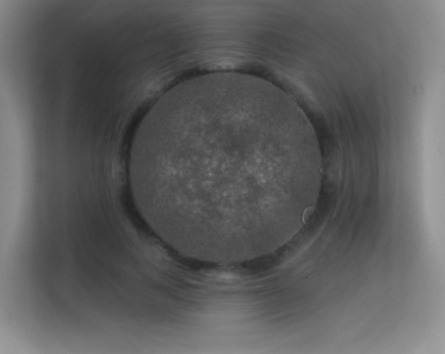X0000113570743200909251134