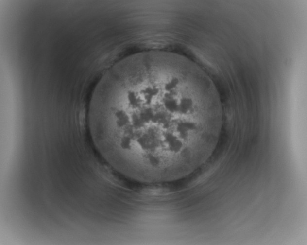 X0000113570745200909251134