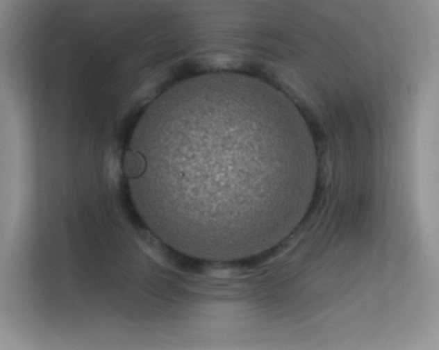 X0000113570746200909251134