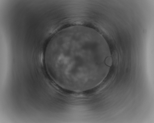 X0000113570747200909251134