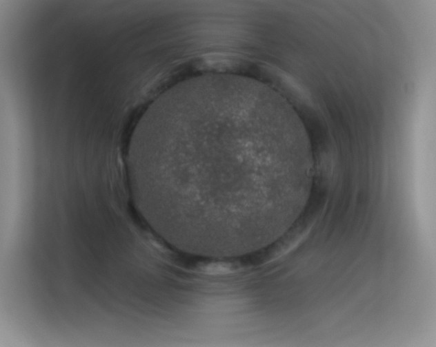 X0000113570751200909251134