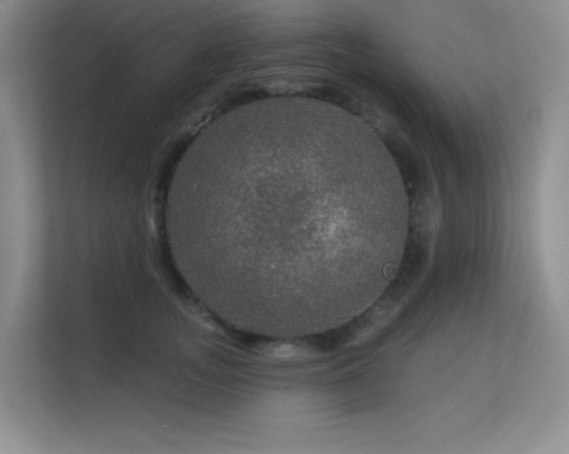 X0000113570755200909251134