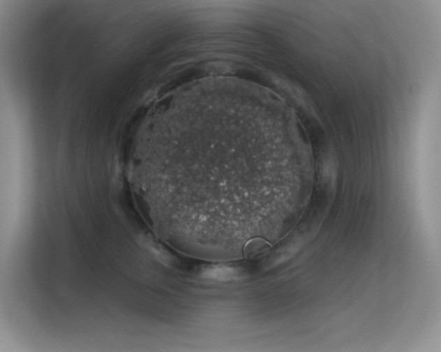 X0000113570759200909251134