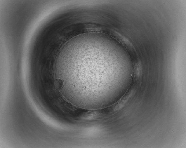 X0000113570764200909251134