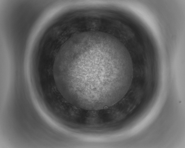 X0000113570766200909251134