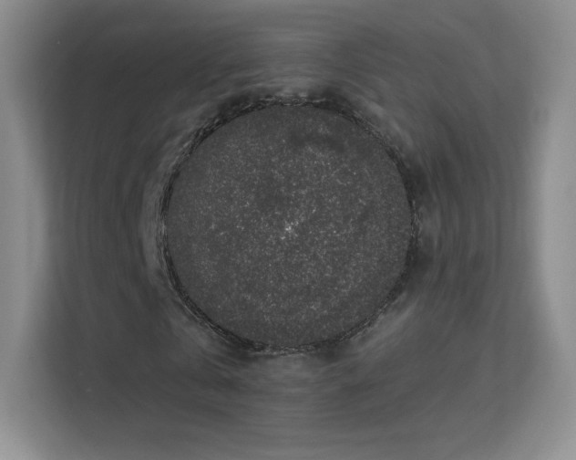 X0000113570769200909251134