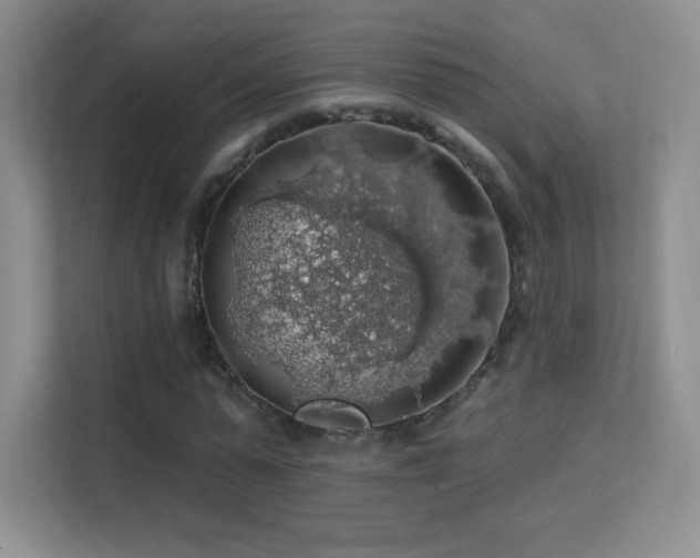 X0000113570775200909251134