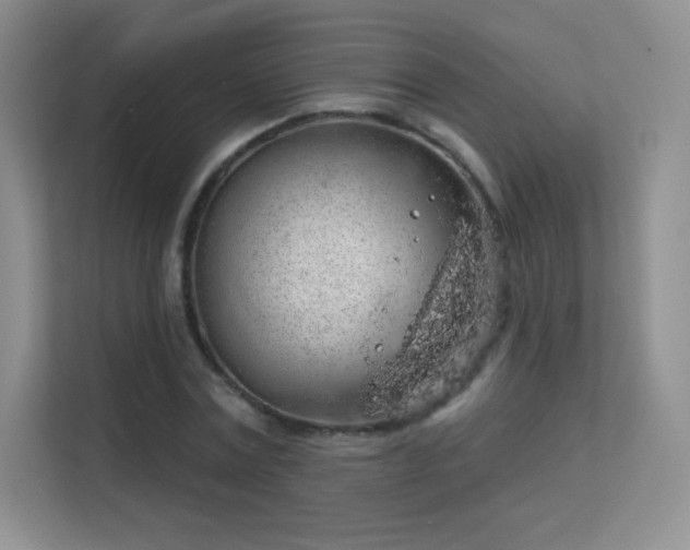 X0000113570779200909251134