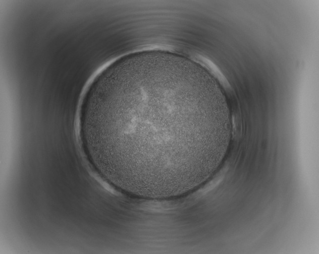 X0000113570780200909251134