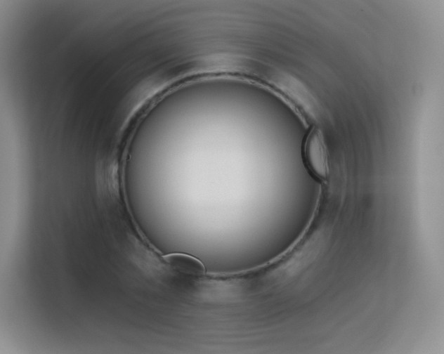 X0000113570781200909251134