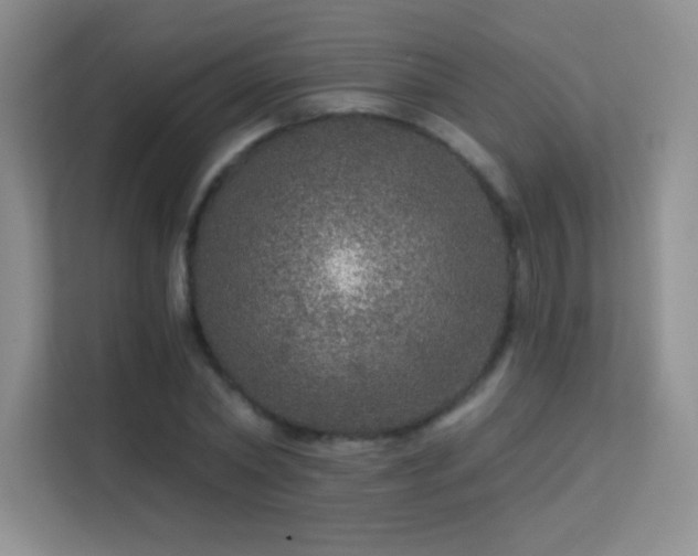 X0000113570782200909251134