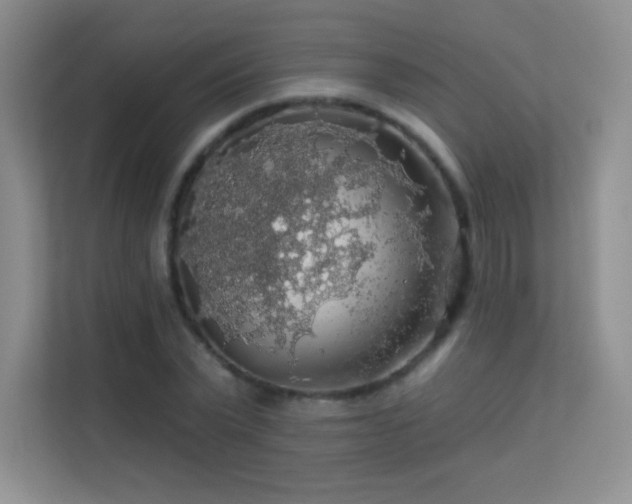 X0000113570783200909251134