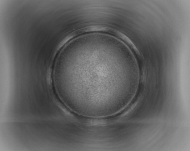 X0000113570786200909251133