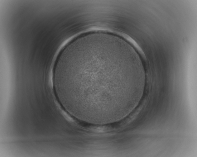 X0000113570791200909251133