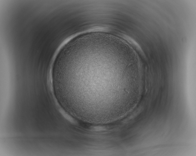X0000113570792200909251133