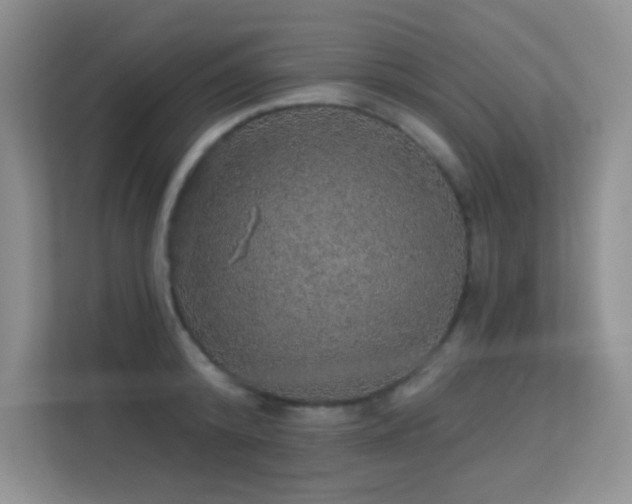 X0000113570800200909251133