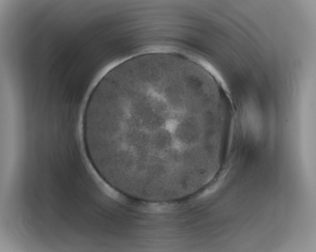 X0000113570803200909251133