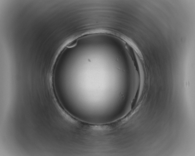 X0000113570805200909251133