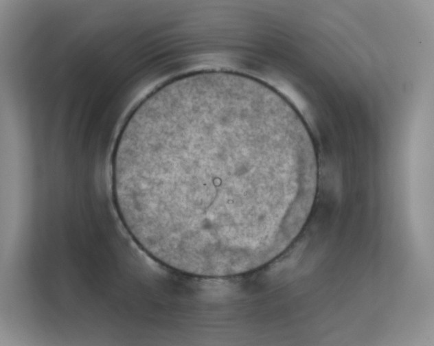 X0000113570807200909251133