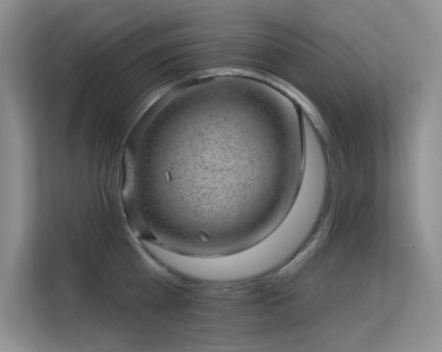 X0000113570809200909251133