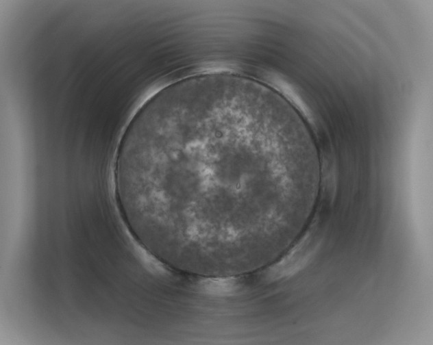 X0000113570810200909251133