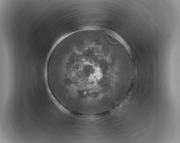 X0000113570811200909251133