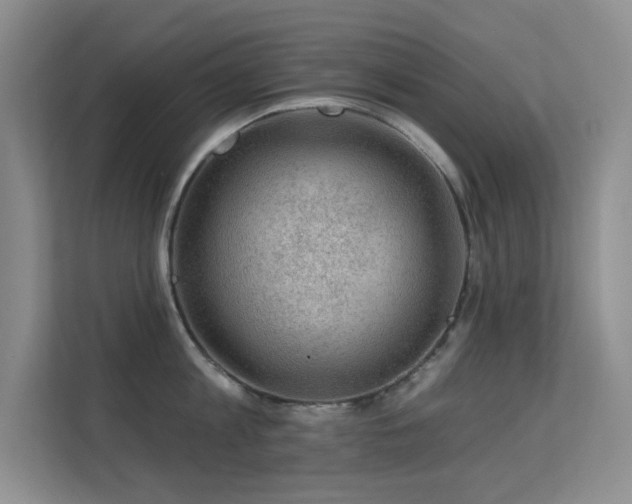 X0000113570813200909251133