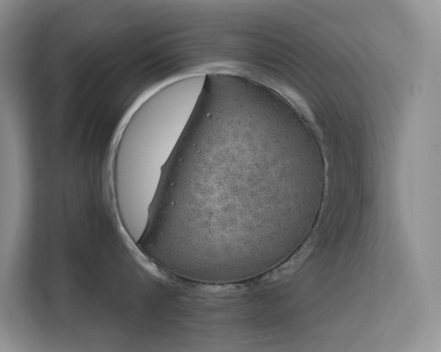 X0000113570816200909251133