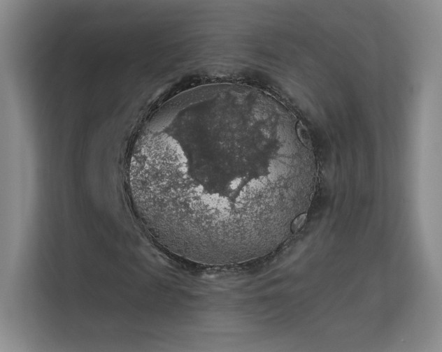 X0000113570817200909251132