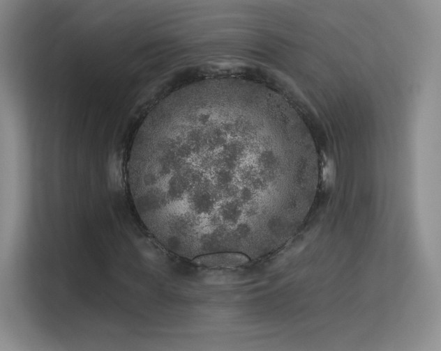 X0000113570819200909251132