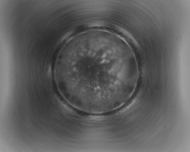 X0000113570825200909251132