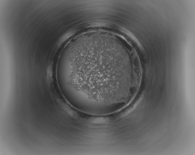 X0000113570826200909251132