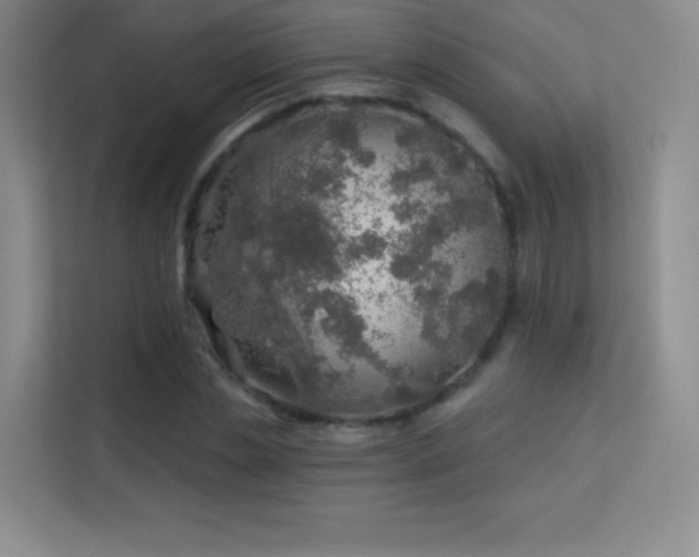 X0000113570829200909251132
