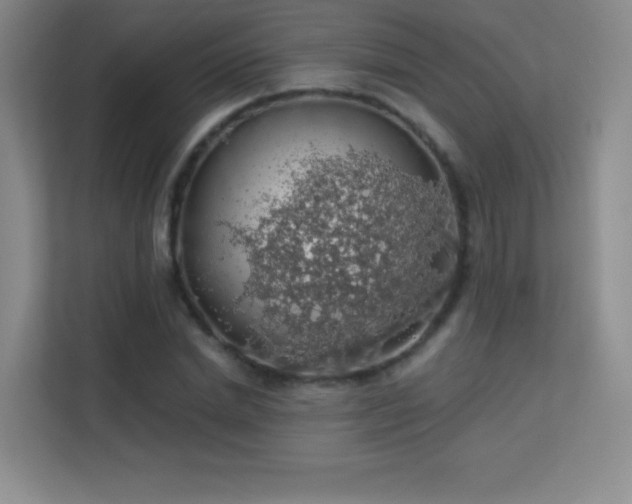 X0000113570830200909251132