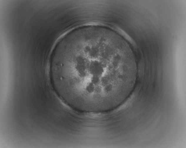 X0000113570831200909251132