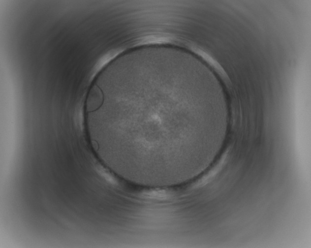X0000113570834200909251133