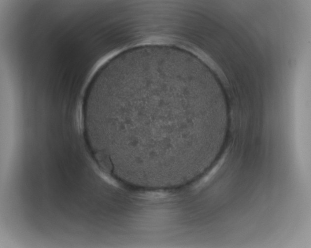 X0000113570838200909251133
