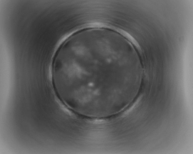 X0000113570839200909251133