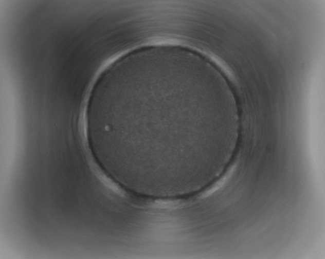 X0000113570840200909251133