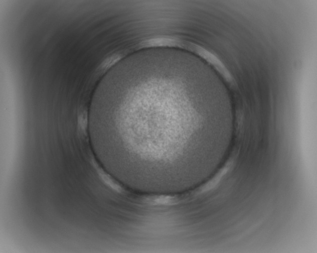 X0000113570841200909251133